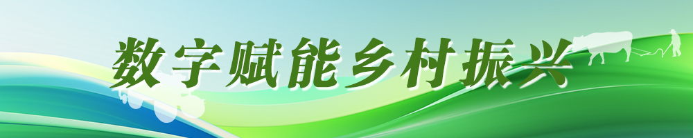 數字賦能鄉村振興